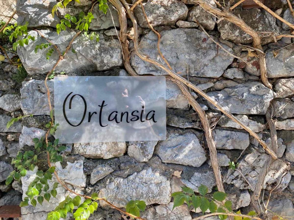 디미트사나 Ortansia 아파트 외부 사진